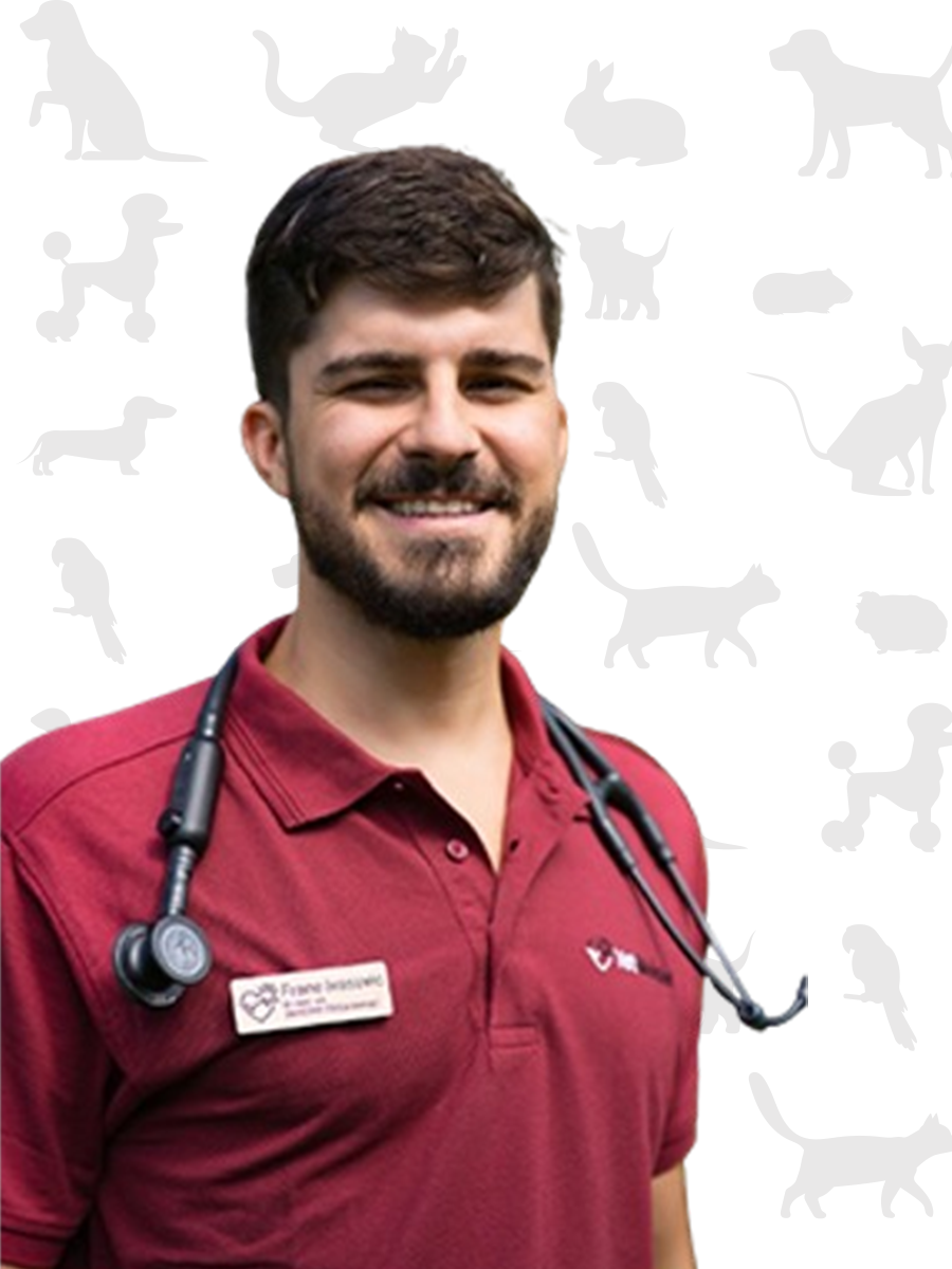Frane-Ivasovic--specialista-Tivet-veterinario