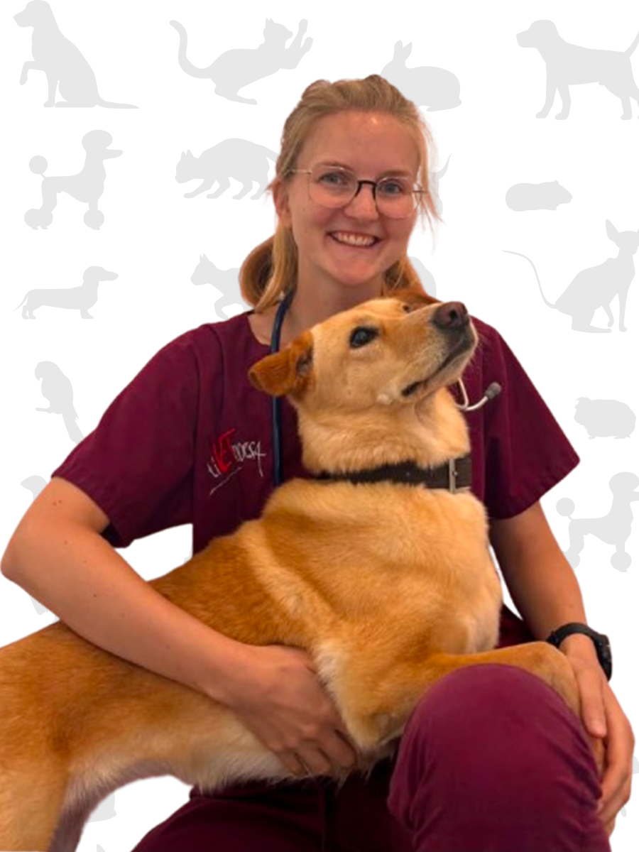 Martina-Jemec-veterinario-Tivet-Ticino